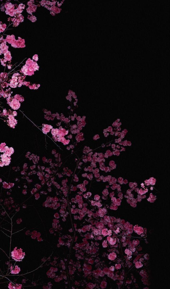 Sunset Serenade of Floral Splendor