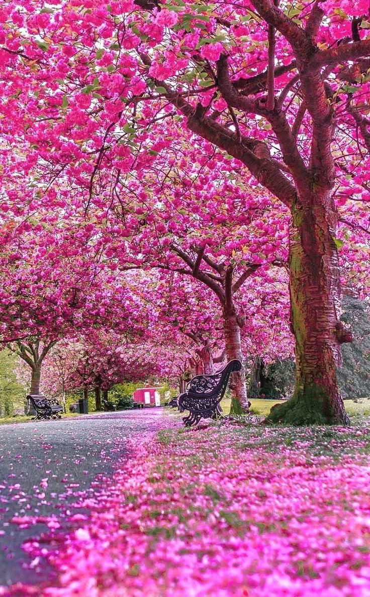 Whispers of Nature's Harmony Bouquet